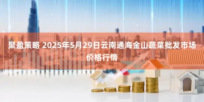 聚盈策略 2025年5月29日云南通海金山蔬菜批发市场价格行情