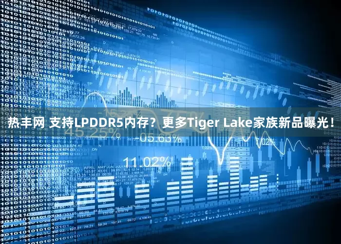 热丰网 支持LPDDR5内存？更多Tiger Lake家族新品曝光！