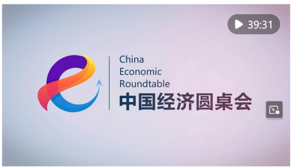 长江云配 为扩大高水平对外开放作出新的示范——“中国经济圆桌会”聚焦深化国家级经开区改革创新_大皖新闻 | 安徽网