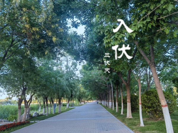 通配资 今日头伏第一天，记得“吃2样，做1事，忌1事”，牢记老传统！